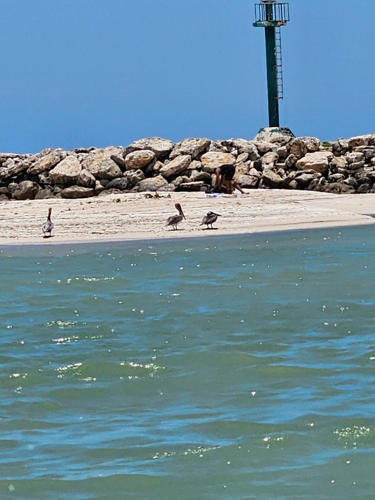 Porto Alto 35-Playa Del Carmen 1 Βίλα Εξωτερικό φωτογραφία